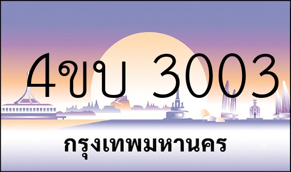 4ขบ 3003